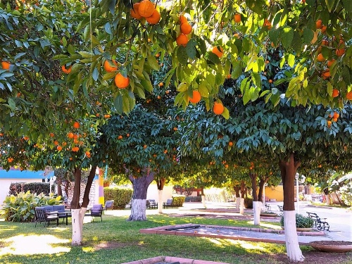 Çetinel Otel image 16