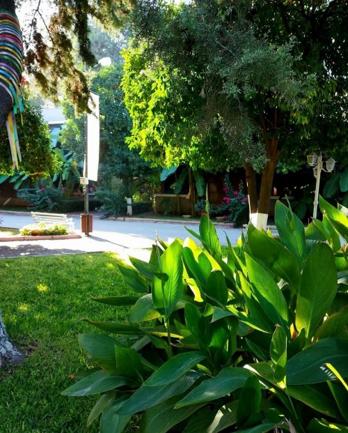Çetinel Otel image 27